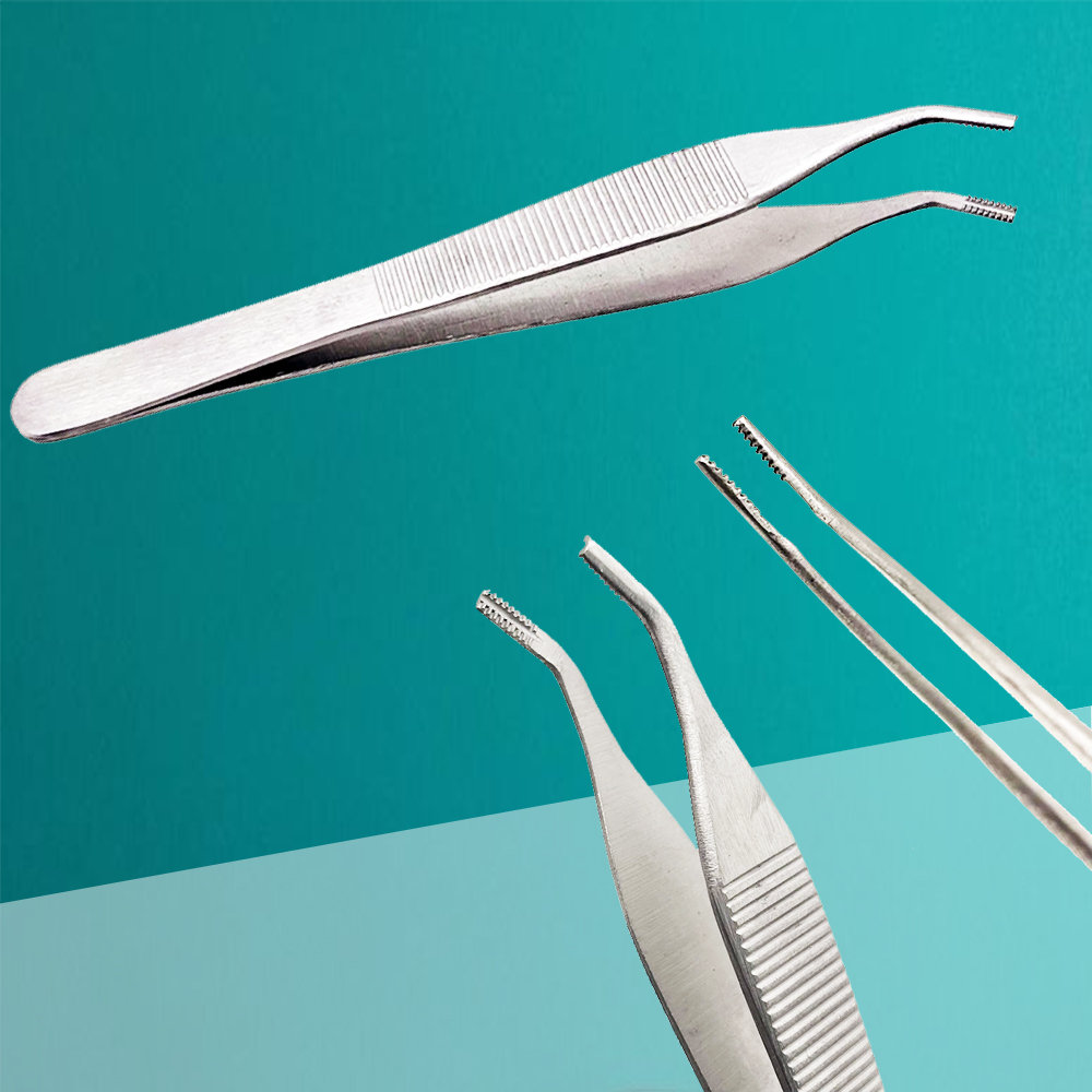 Medical Grade Stainless Steel Cartilage Forceps 12cm Curved with Teeth & Slots for Ophthalmic and Tissue Surgery