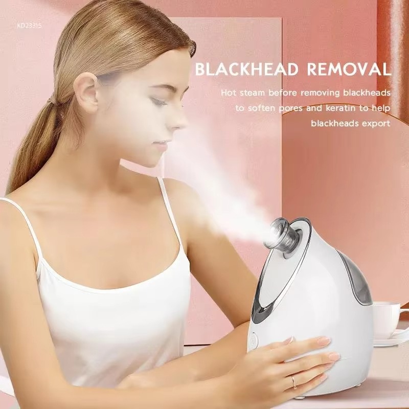 Household High Quality Moisturizer Mini Facial Spa Nano Steamer  Beauty instrument