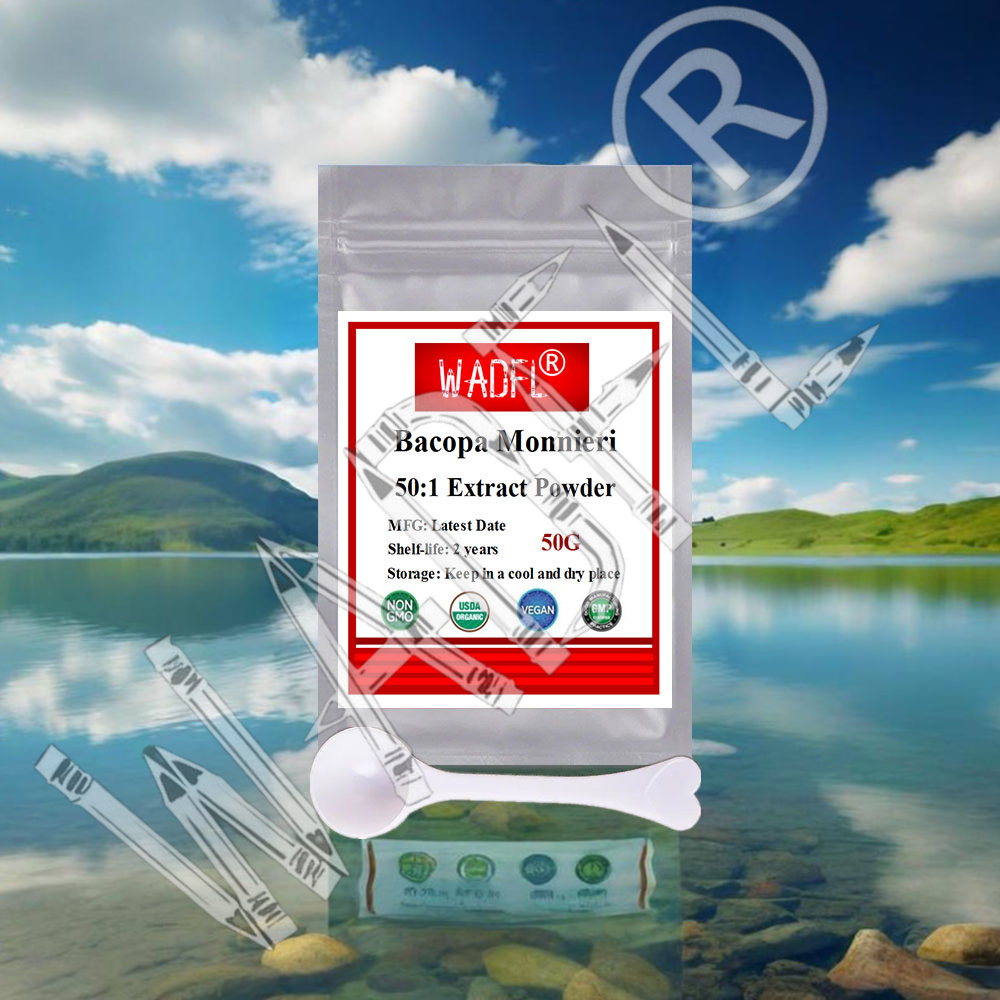 Customized Proportion Best Price High Quality Bacopa Monnieri /ext, Gift Season on Special Offer for Global Distributors