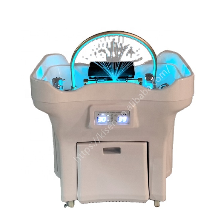 Beauty Salon Portable Basin Head Spa Therapy Bowl Shampoo Sink with Water Circulation and Steamer Double Water tank