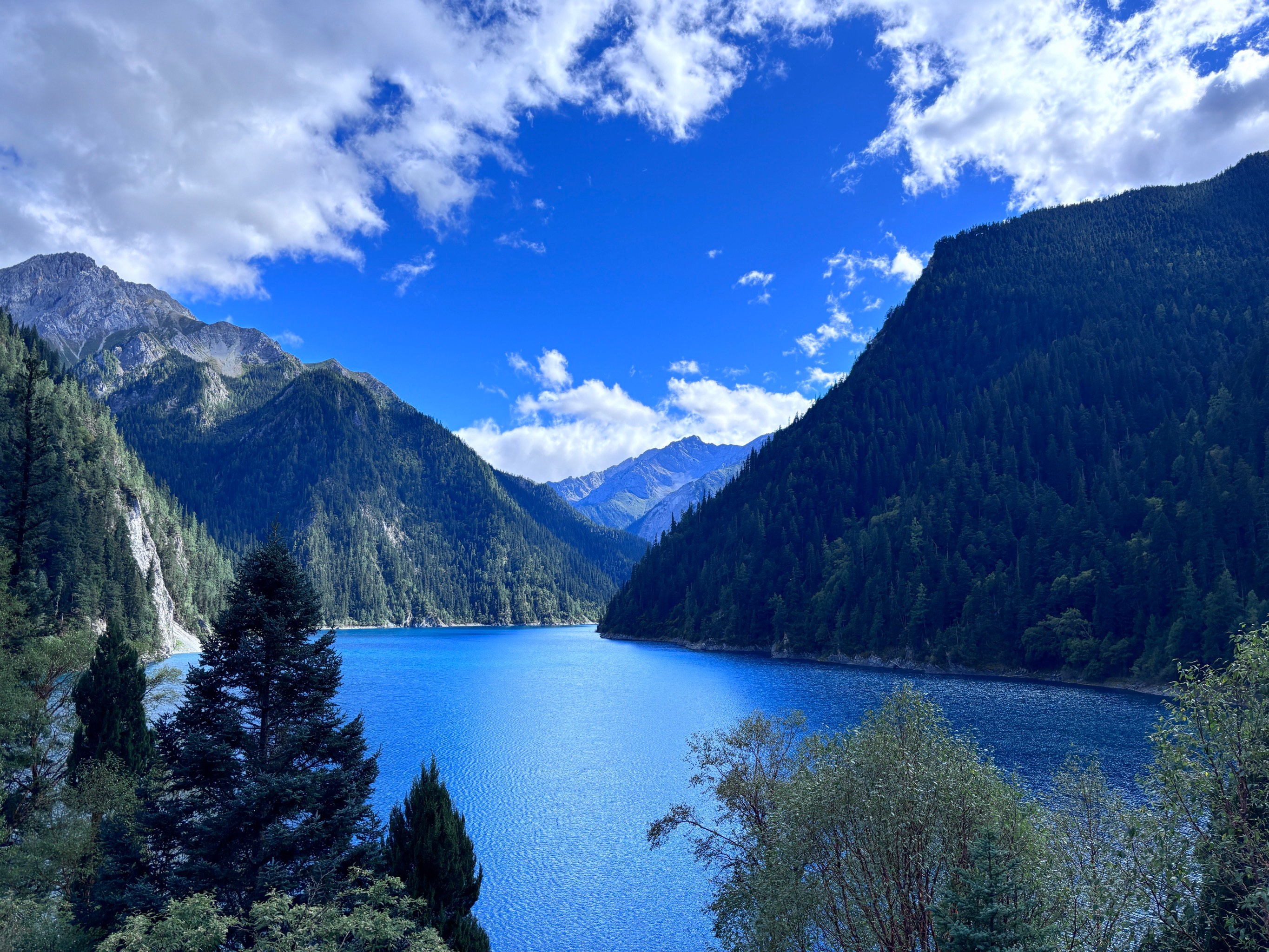 980nm Diode Laser Machine 6 in 1 Used For Vessel Removal Couperose Spider Veins Fungal Nails Local Fat Dissolution Physiotherapy