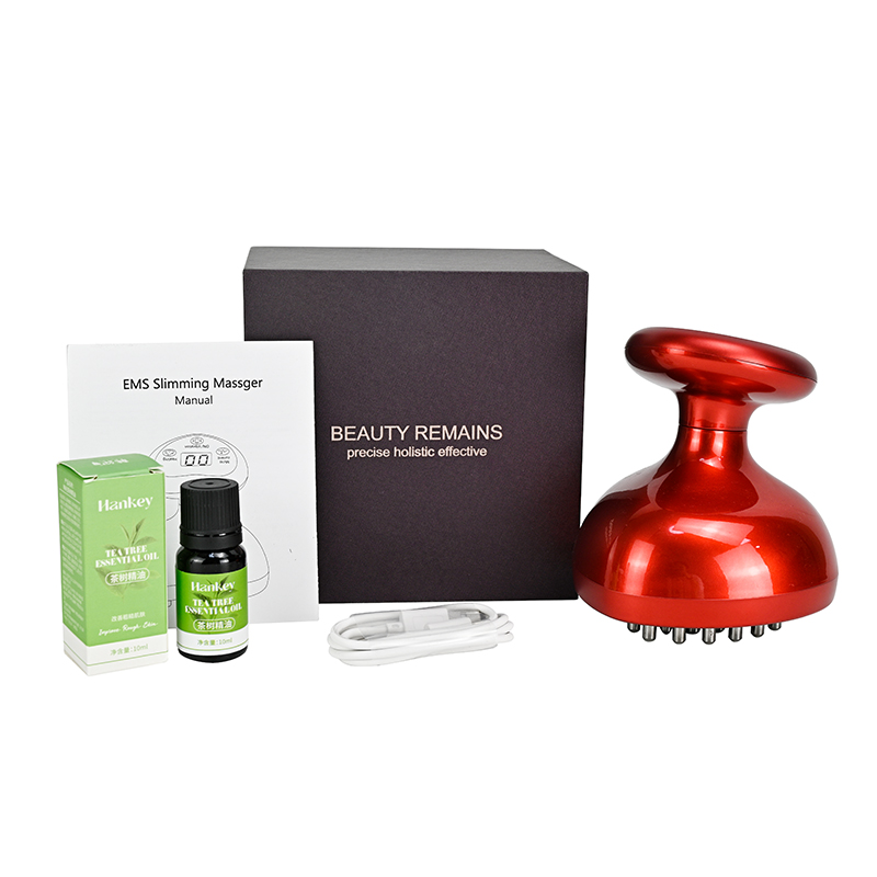 Home Electric Meridian Brush Nutrition Scraping Massage Instrument Unblocking Meridians Soothing Tension Muscle Cupping Device