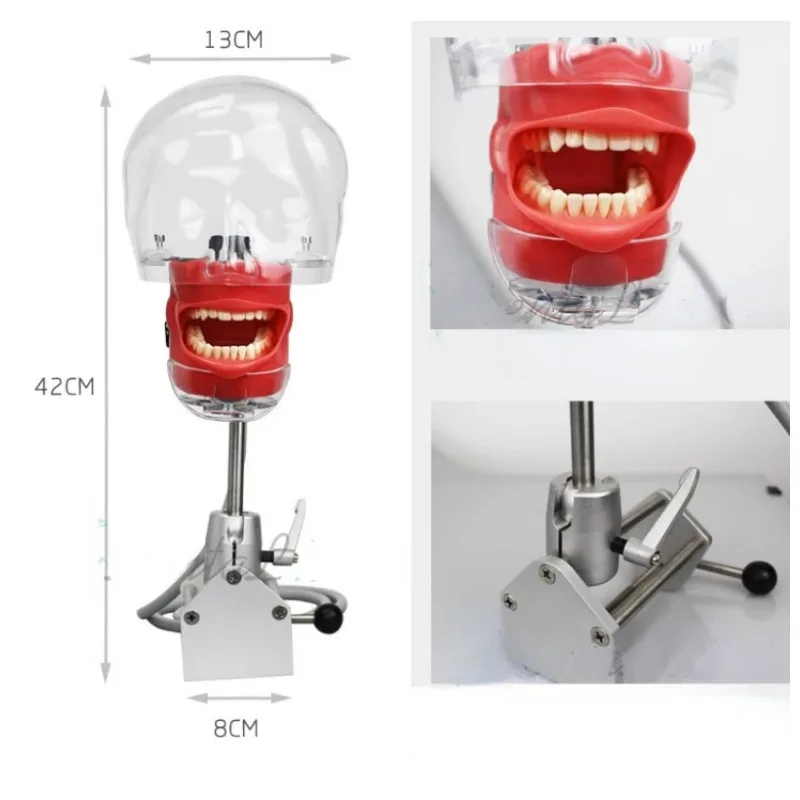 1Pcs Dental Teaching Mold Oral Simulation Simple Headgear Mold Students Practice Headgear Model Training Equipment