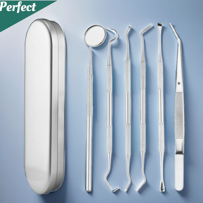 6/5/4/3-PCS Stainless Steel Dental Tool Set Tartar Remover Endoscope Cleaning Tooth Stains Tartar Interdental PickOral Care Tool