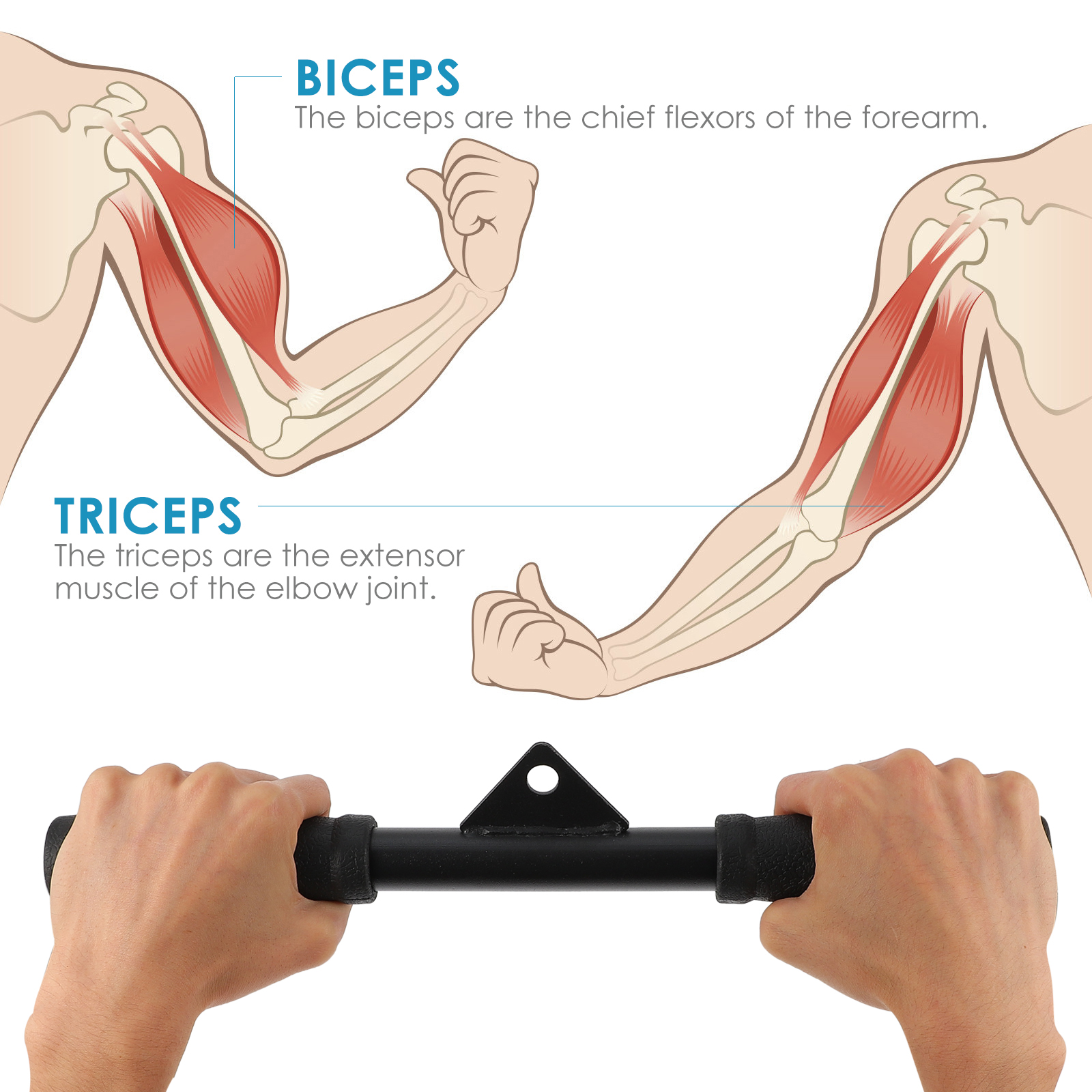 Portable Fitness Lever Lightweight Plastic Tension Rod Bicep Triceps Trainer Curly Bar Exercise Equipment Accessories