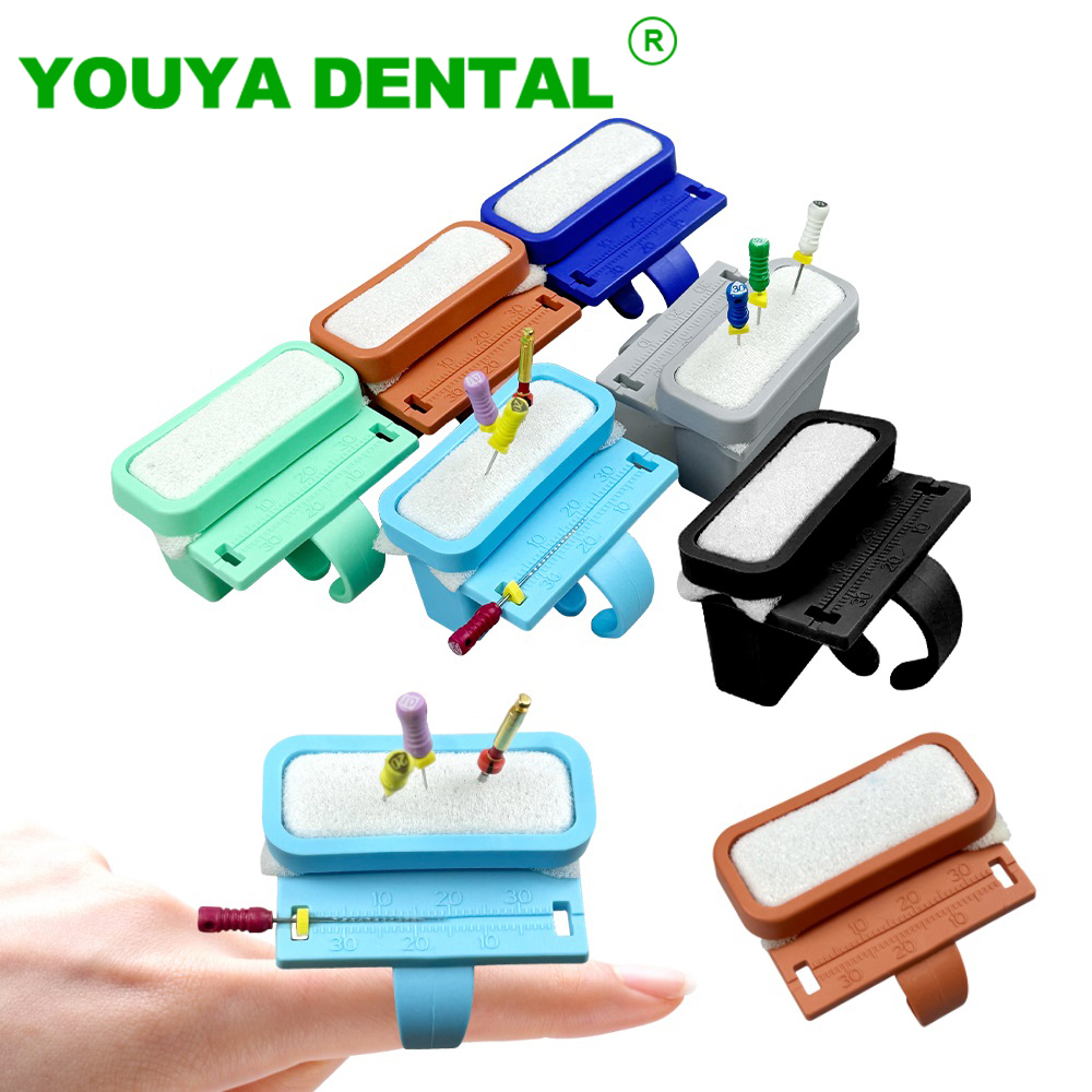 Dental Drill Holder Ring Type Endo File Box Root Canal Cleaning Foam Endodontics File Stand Block With Sponge Dentist Lab Tools