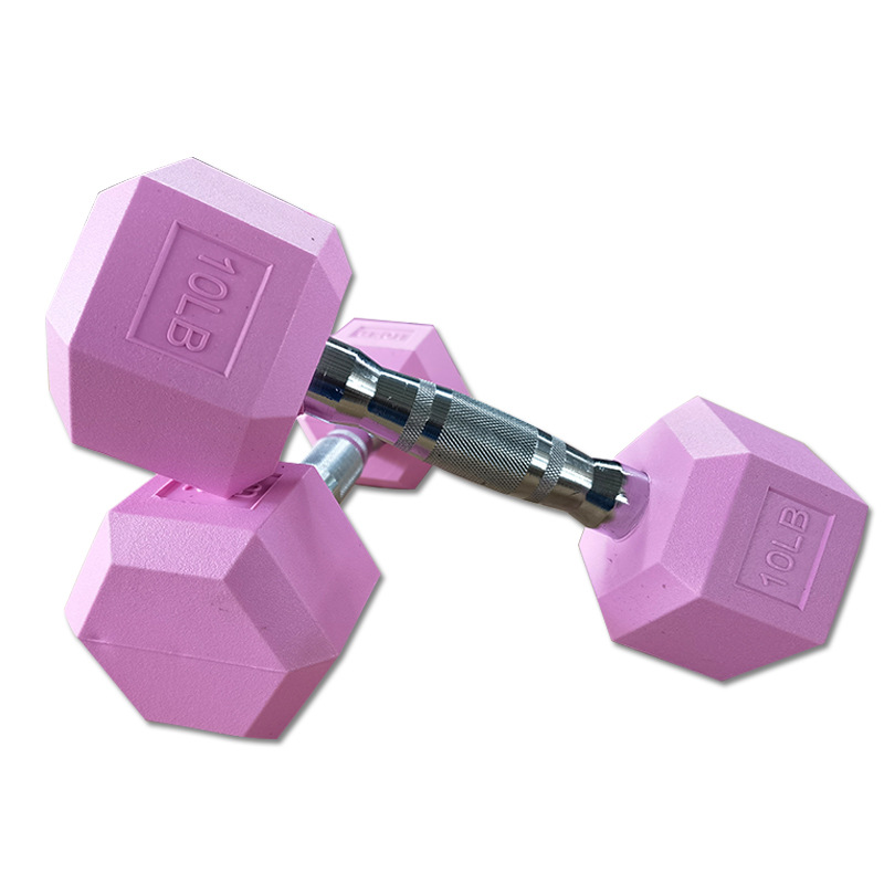 Cheap Price Custom Logo Gym Fitness Exercise Training Dumbbells Random Color