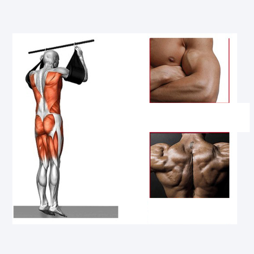 Belly Sling AB Straps Hanging Abdominal Exercise Belt Orange