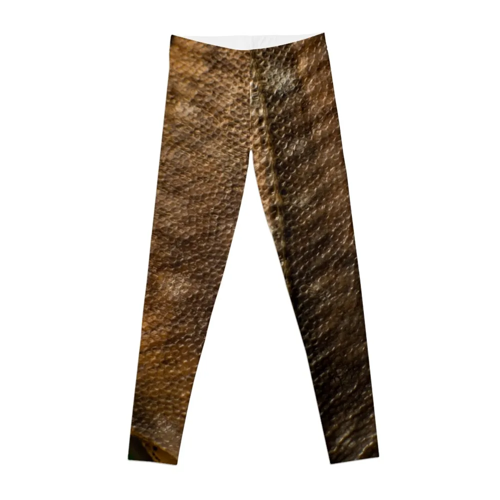 The Bakskuld Leggings Fitness clothing Jogger pants Training pants Womens Leggings