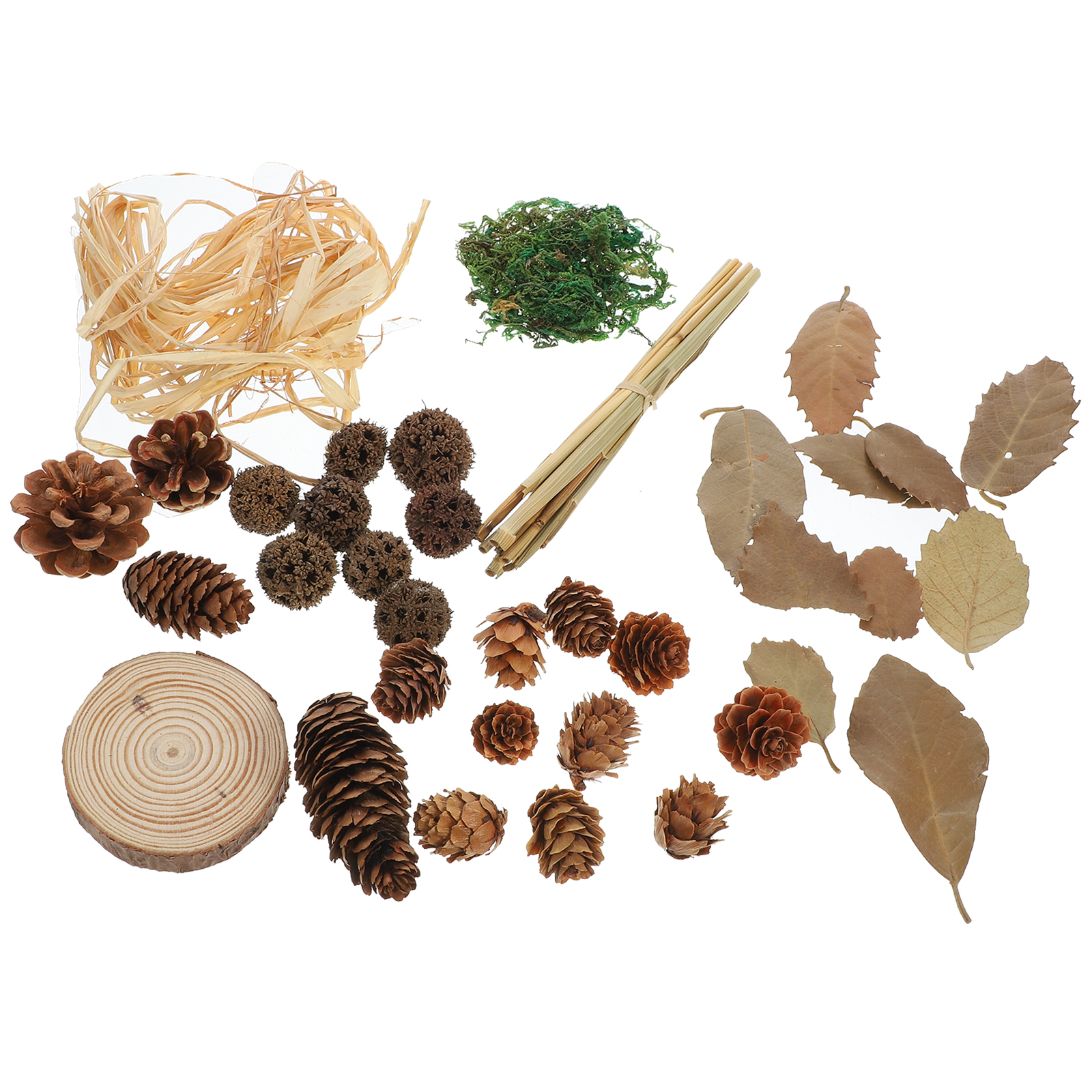 1 Set Retro Photo Background Accessory Wood Pine Cone Leaf Props For Vintage Photography Supplies Creative Background Decorative