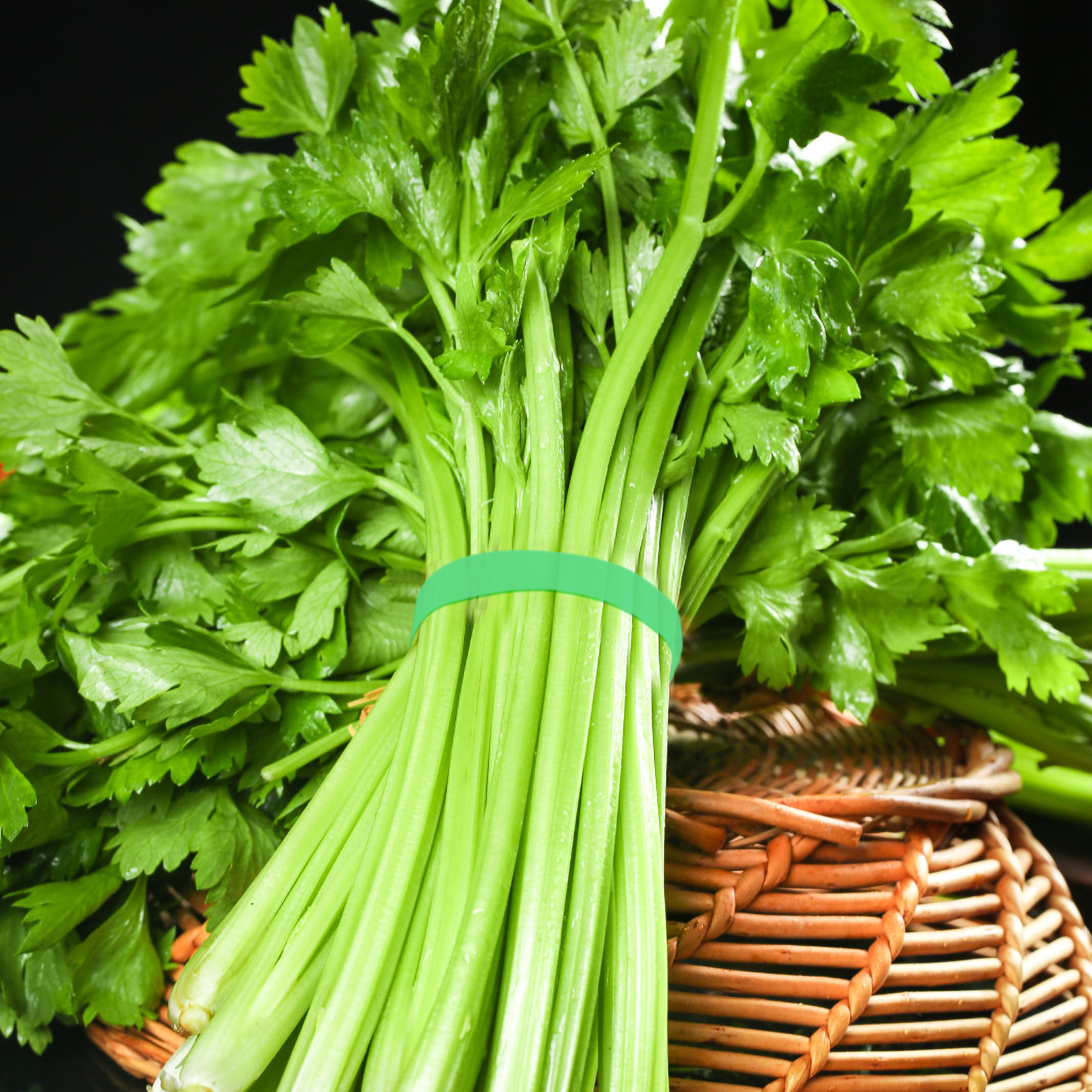 12 Pcs Seal Sealing Tape Glue Strong Packing Strapping Tying Bopp Bag Sealer Machine