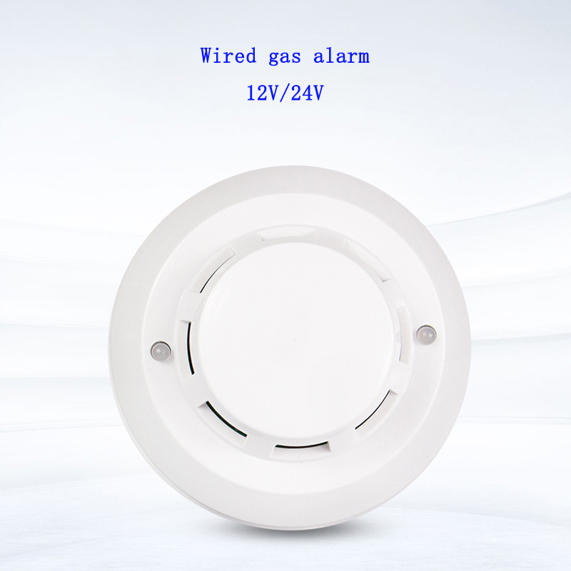 Wired Liquid Gas Detector Combustible Coal LPG Natural Gas Probe Kitchen Detection Audible and Visual Alarm Unique Insect Net