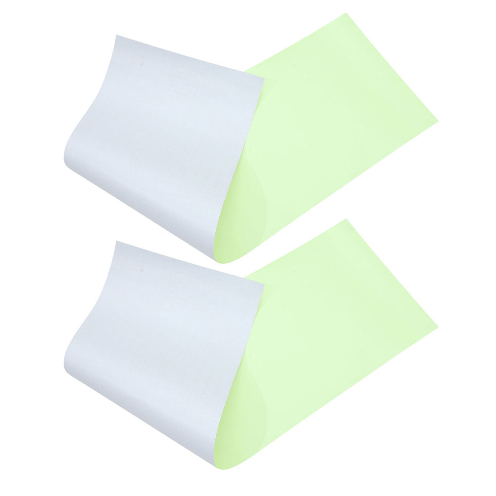 2pcs Glow In Dark Film Photoluminescent Luminous Vinyl Decal Sticker For Letters Car Window Cup License Plate Sign Diy Crafts