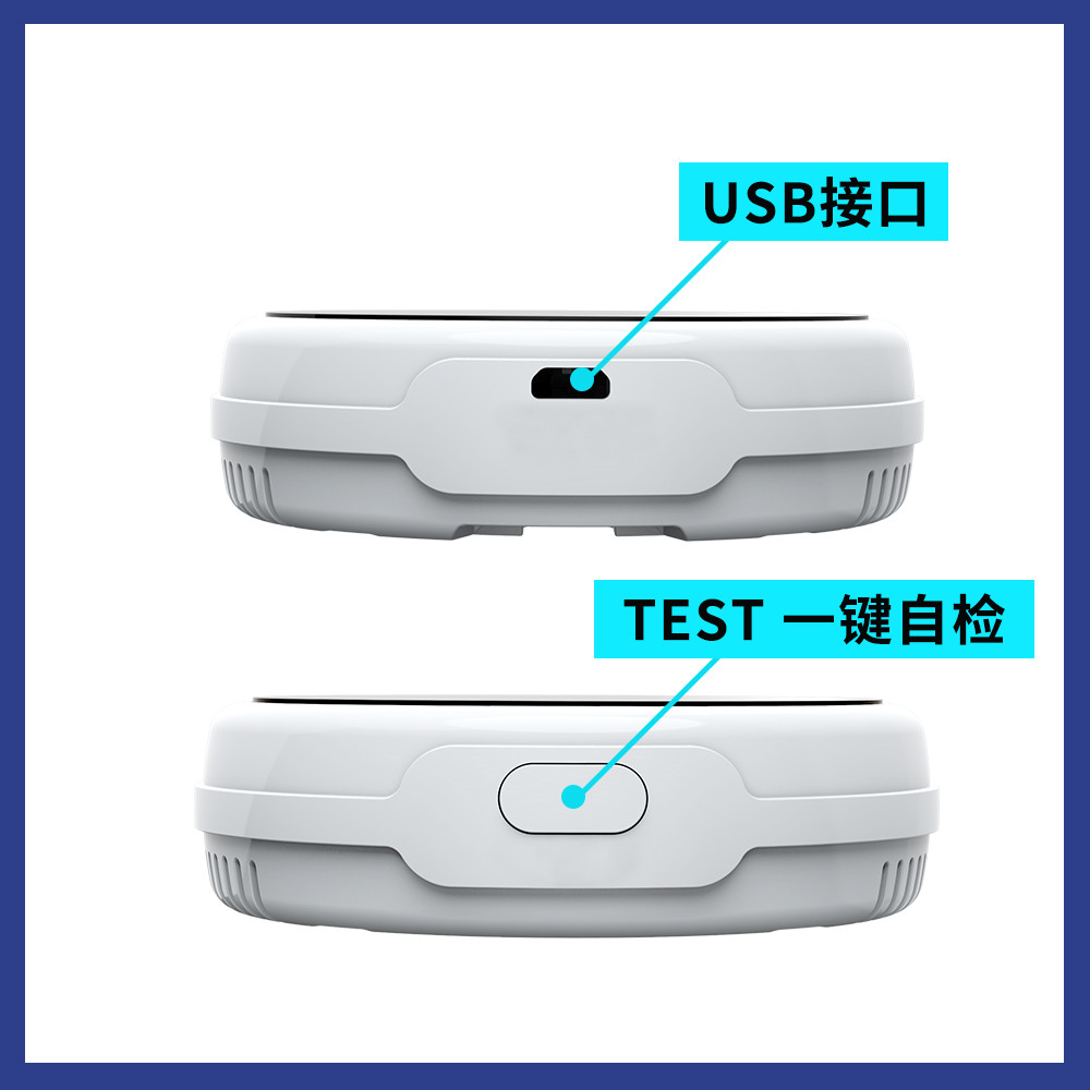 Tuya APP WIFI Remote Control Combustiable Gas CO Detector For Home Security Alarm System Gas Sensor