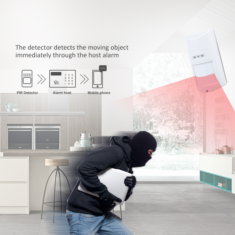 Wired Outdoor Passive Infrared Sensor IP65 Waterproof Microwave Motion Detector Anti Pet for Home/Hotel/School/Factory/Hosipital