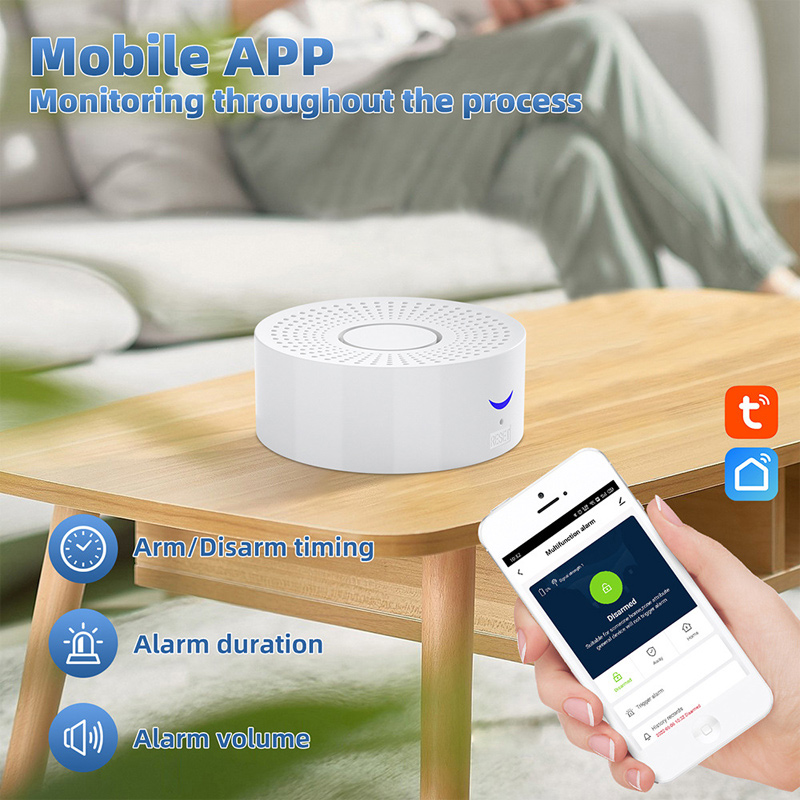 Remote Control Graffiti Smart Burglar Alarm Home Store Infrared Sensing Wireless WiFi Security System USB Power Supply