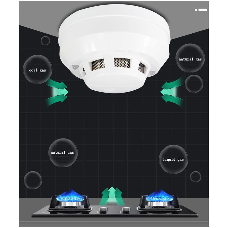 Combustible Coal LPG Natural Gas Probe Kitchen Detection Wired Liquid Gas Detector Audible and Visual Alarm Unique Insect Net