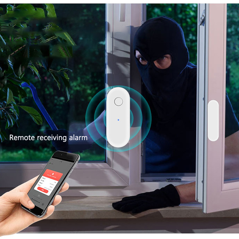 Remote Receiving Alarm Wi-Fi Intelligent Door Magnetic Detector Graffiti Door and Window Intrusion Sensor Google Home