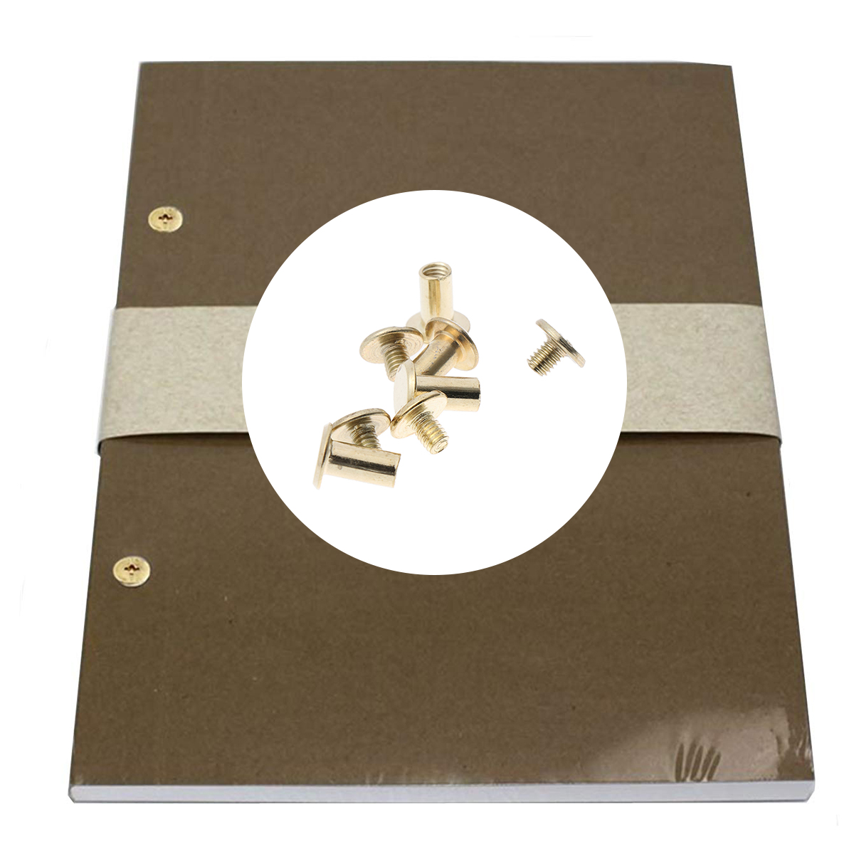 45 Sets Rivet Ledger Nail Snap Account Book Picture Brass Copper-plated Screw Recipes