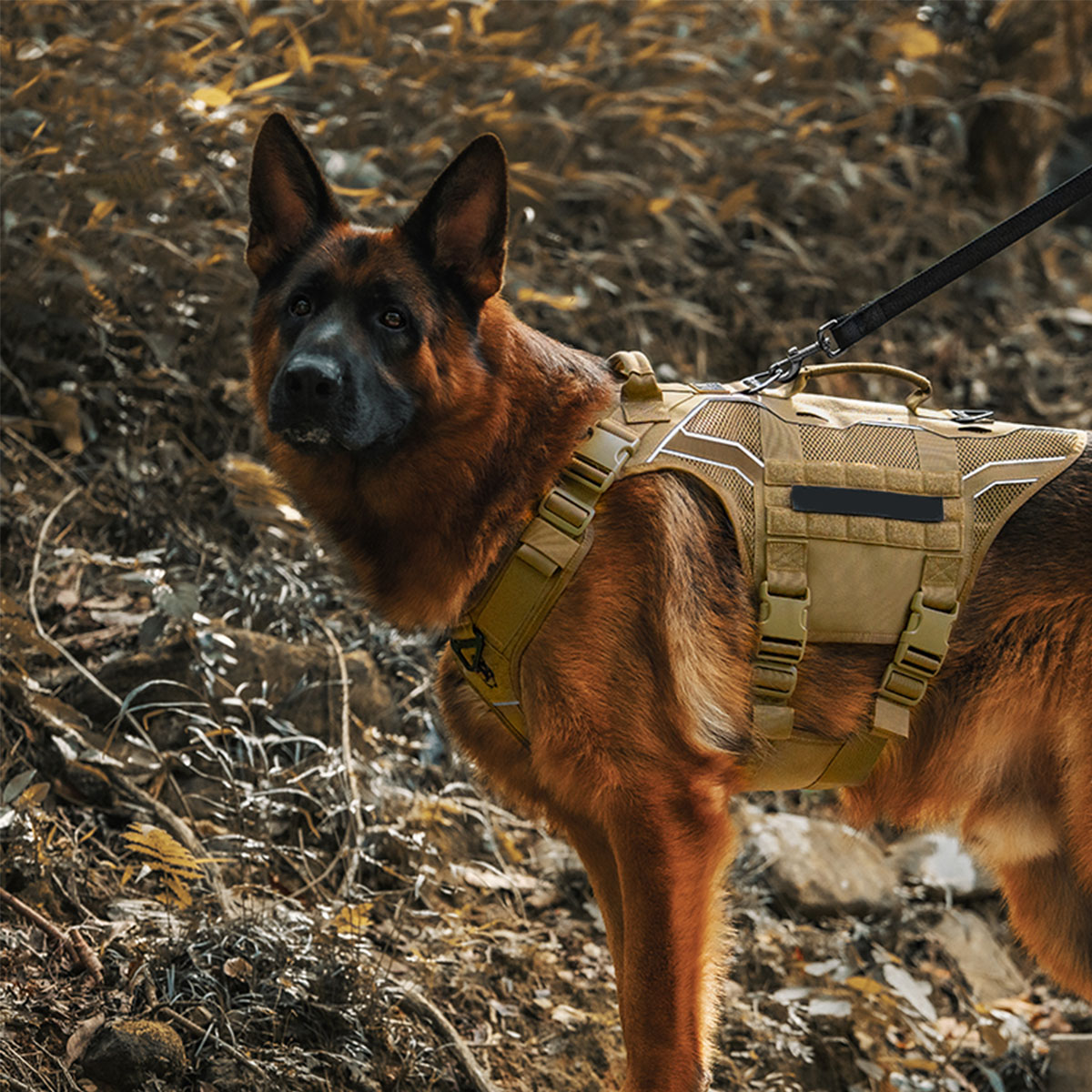 Dog Traction Rope Vest-Style Tactical Chest Harness for Medium Large Dogs Retrievers for Outdoor Hunting Training Movie Props