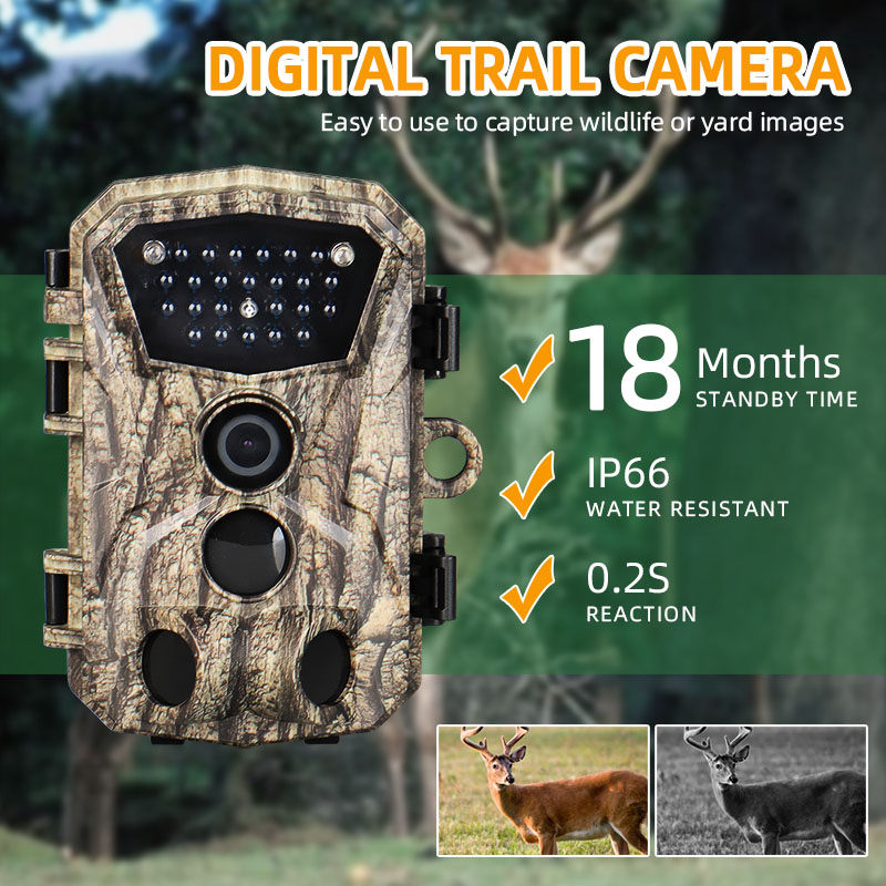 2024 New PP37-0038 produce digital trail camera outdoor use hunting camera