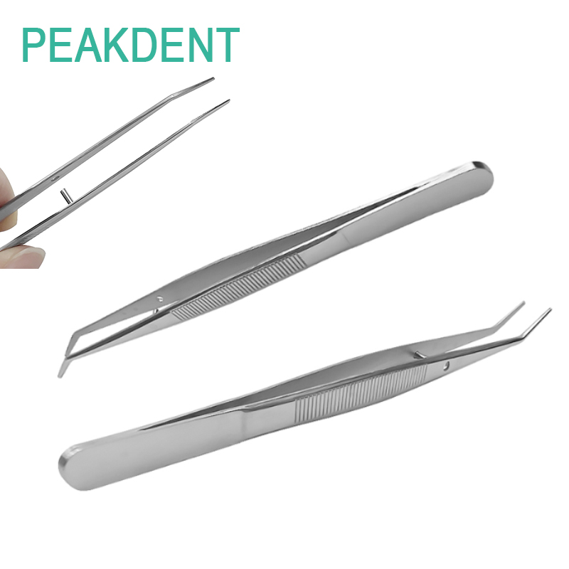 1pcs Dental Stainless Steel Filling Clamping Cotton Clip Art Nail Clipper Dental Oral Examination Instrument Tool