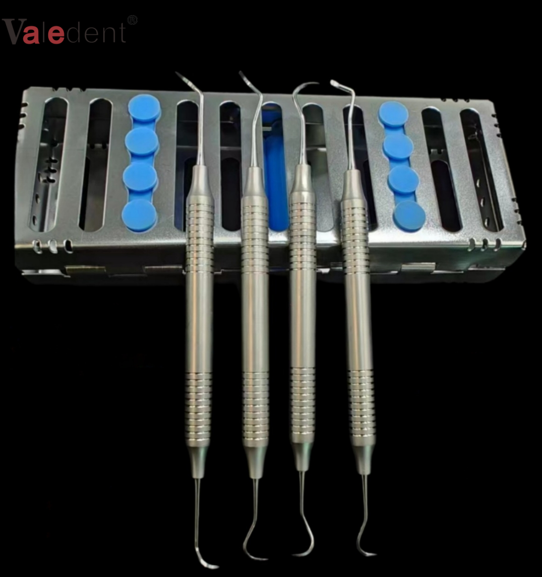 Dental Scaler Set 4PCS - Multi-Functional Double-Ended Tools Stainless Steel for Teeth Cleaning & Diagnosis