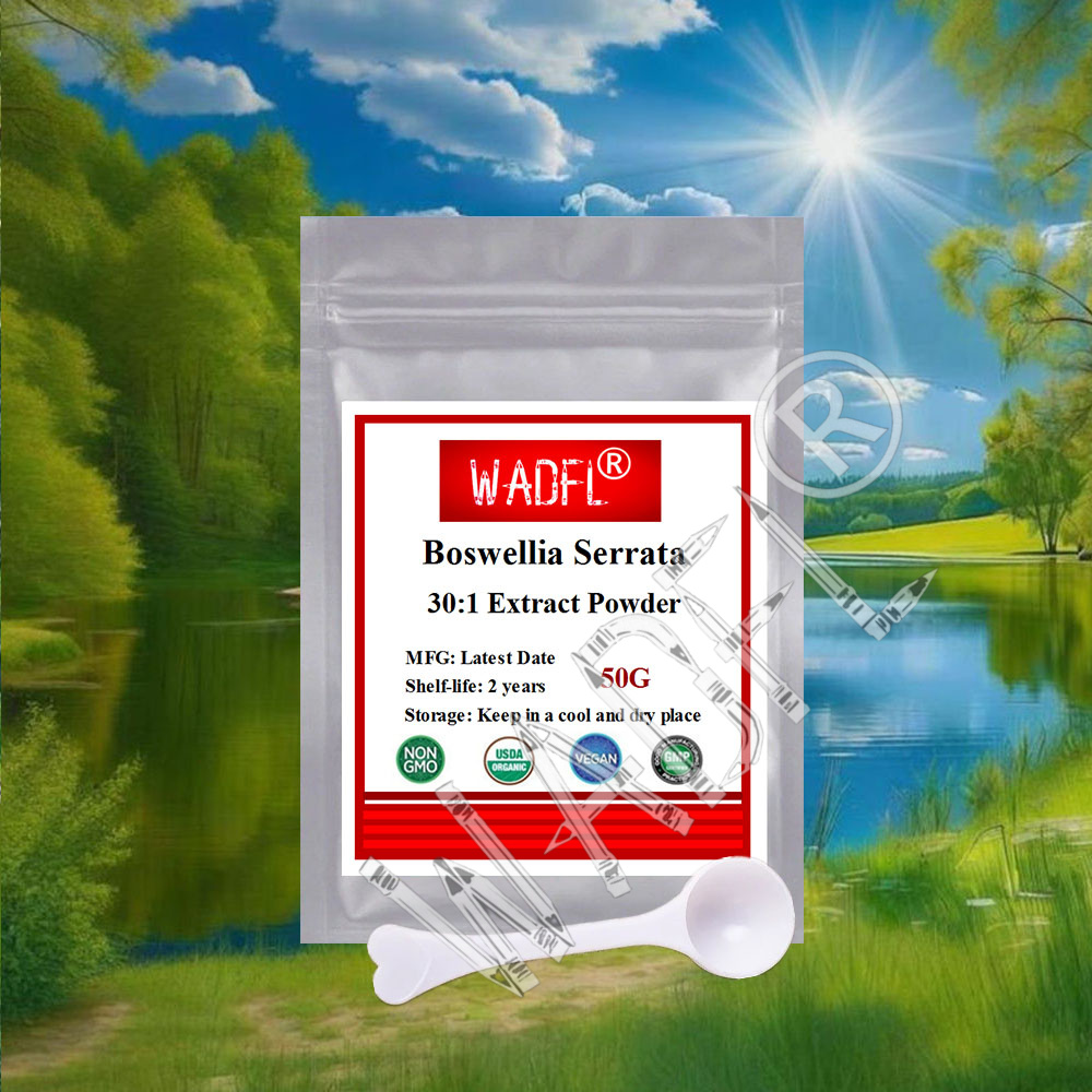 Best Price Fast Global Shipping Natural Boswellia Serrata/mastic Gumextract Out Packing Aluminum Foil Bag