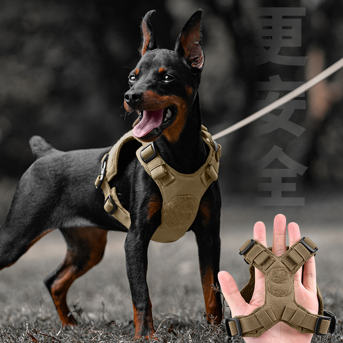 Dog Traction Rope Vest-Style Adjustable Lightweight Breathable Vest for Small Dogs Tactical Chest Back Teddy Schnauzer Shiba Inu