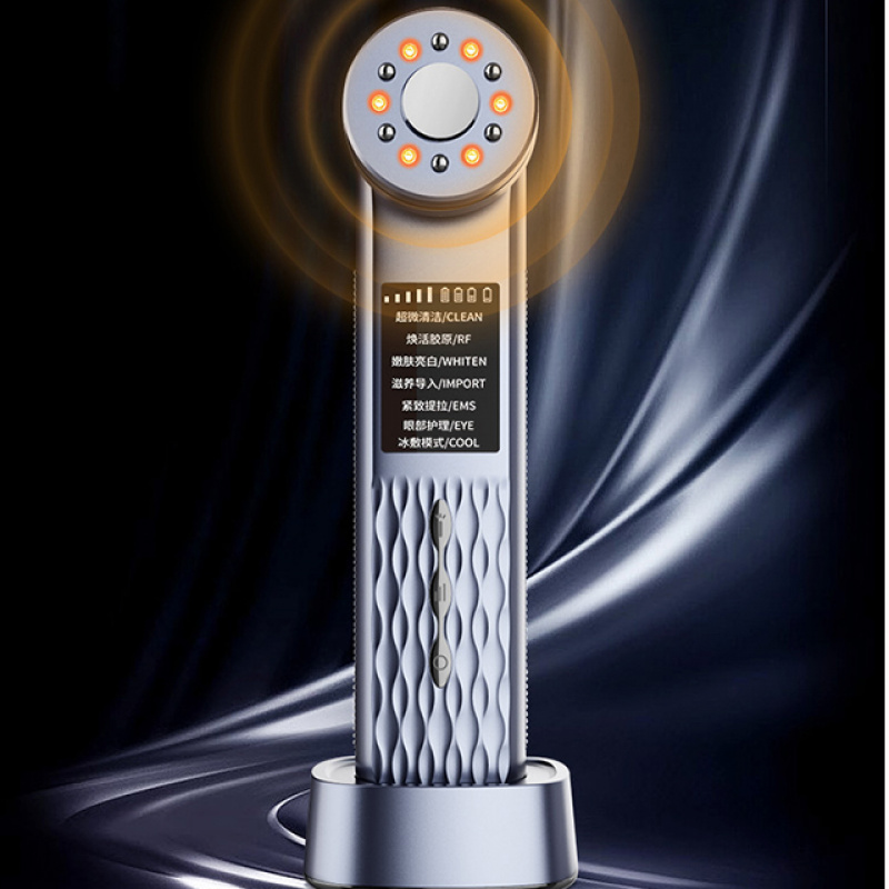 Home Use Multifunctional Face Vibration Lifting Skin Massage Beauty Equipment